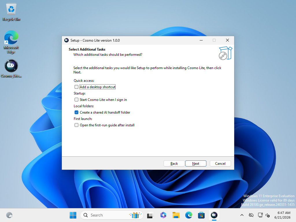 Cosmo Lite installer optional task screen in the Windows VM