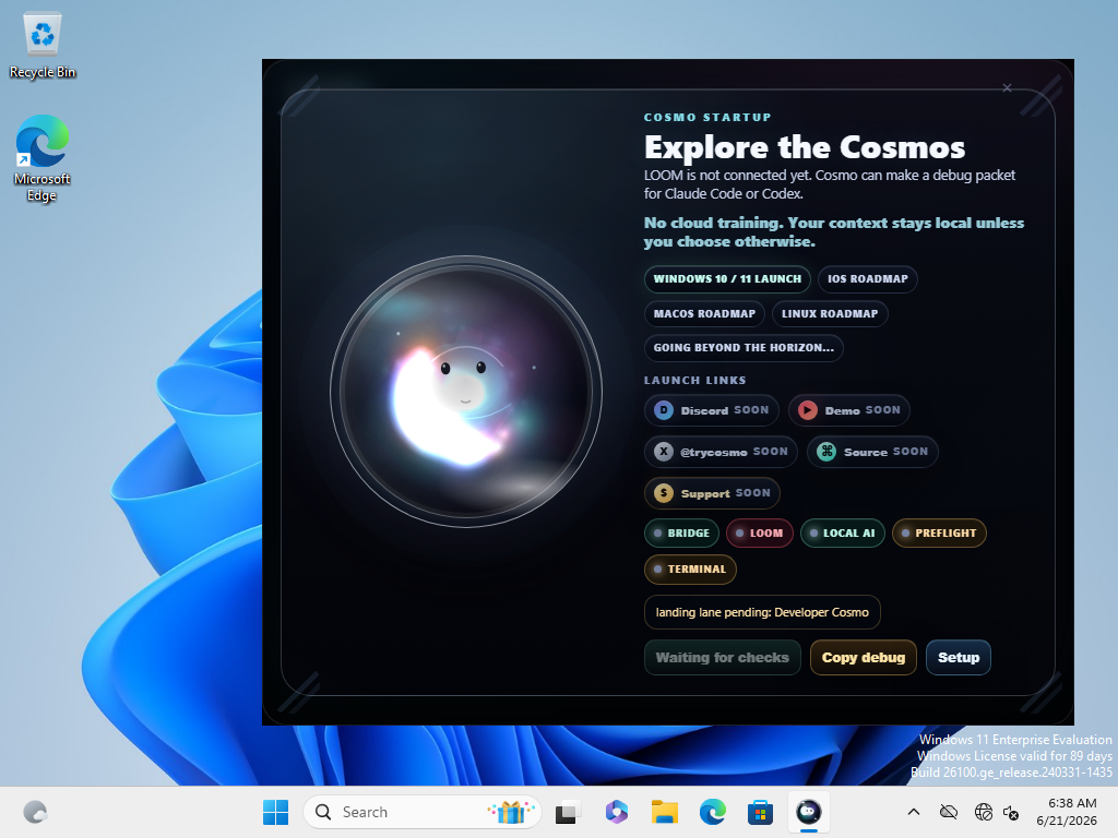 Cosmo Lite startup gate captured inside the clean Windows VM